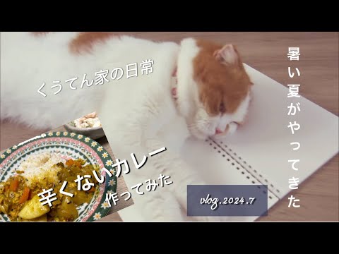 【料理】胃腸に優しいカレー/中年夫婦/猫との暮らし/４０代主婦