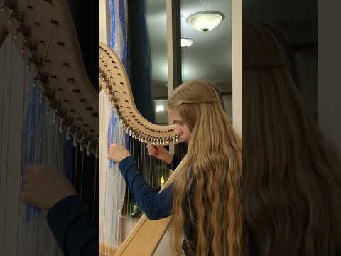 Angels We Have Heard On High: Christmas Carol on Celtic Harp #shorts #harp #angelswehaveheardonhigh