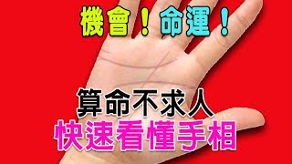 【算命不求人】快速看懂手相-(二)五大線紋-生命線Part 1.流年測算方法、類型