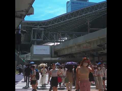 JR大阪駅前の横断歩道を渡る歩行者（地上から）