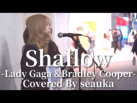 Shallow(Lady Gaga, Bradley Cooper)/seauka