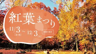 紅葉まつり2023 スタート！(2022年撮影)