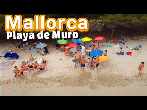 MALLORCA 🏖 SPAIN ❤️ PLAYA DE MURO ✨️ ALCUDIA 🏝 Recording with the drone on a cloudy day