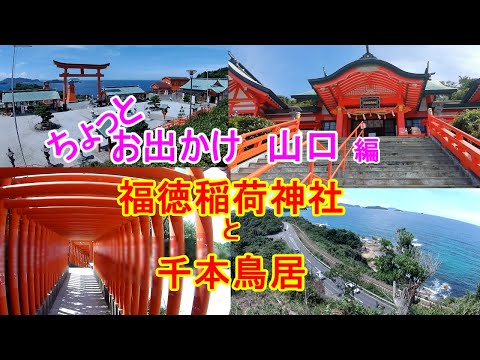 【ちょっとお出かけ】福徳稲荷神社にある千本鳥居です。朱色が空や海の青色に映えます。高台にあるので絶景ですよ。角島大橋のドライブで、ぜひ立ち寄りたいスポットです。【おじちゃん と おばちゃん の旅行】