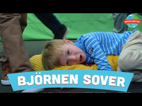 Minikompisarna - Björnen sover