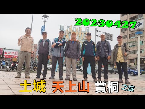 20230427 土城天上山賞桐之旅