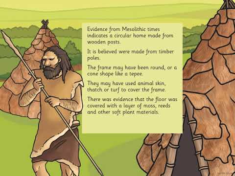 IPC Week 10 - Stone Age Homes PPT