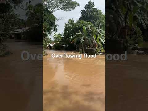 OVERFLOWING FLOOD I SAFETY FIRST I ENVIRONMENTAL PROBLEM #share #viral #like #amazing #sad #blessed