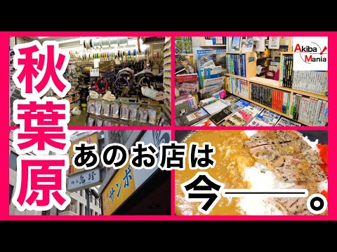 【サンボに起きた大きな変化】秋葉原、あのお店は今。【アキバ】