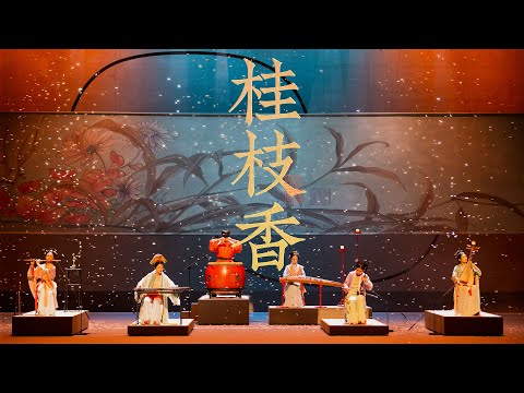 这首《桂枝香》好听到流泪Guizhixiang: Beautiful and sad tunes performed by Chinese instruments