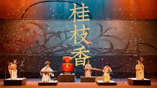 这首《桂枝香》好听到流泪Guizhixiang: Beautiful and sad tunes performed by Chinese instruments