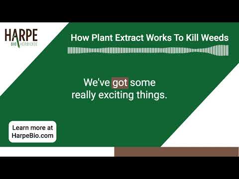 How Harpe Bioherbicides Plant Extract Works To Kill Weeds