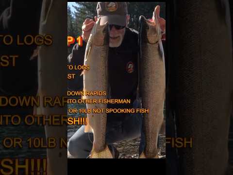 PT4, Controling fish BIG FISH,STEEL HEAD,IF YOU PULLHARD THEY PULL HARDER! PROOF,#shorts #fishing