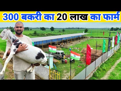 दुबई की नौकरी छोड़ बनाया 20 लाख का फॉर्म | New goat farm setup