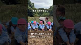 本当の食育って？#幼稚園 #畑#農業