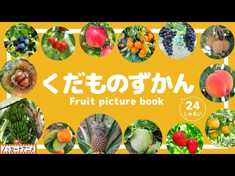 【くだもの図鑑】おいしそうな果物がずらり24種！知育アニメ【赤ちゃん・子供向け】Fruit  picture book for kids