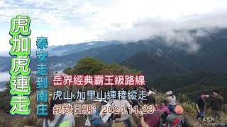 虎加虎連走，虎山、加里山連稜縱走,泰安到南庄,岳界經典霸王級路線,高低落差超過1600公尺-FP241,1