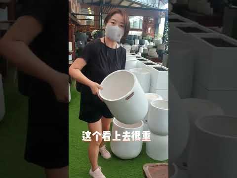 新加坡周末农场VLOG1