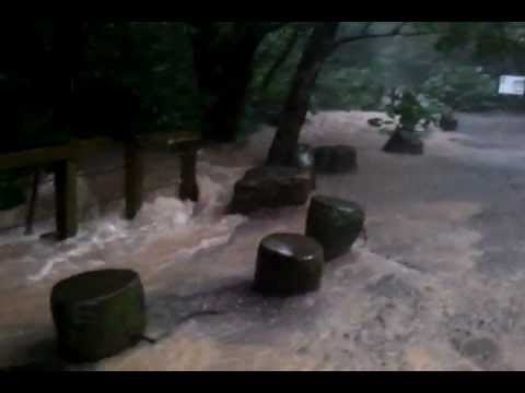 豪雨造成台北市大安區富陽自然生態公園山澗水流湍急景象