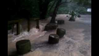 豪雨造成台北市大安區富陽自然生態公園山澗水流湍急景象