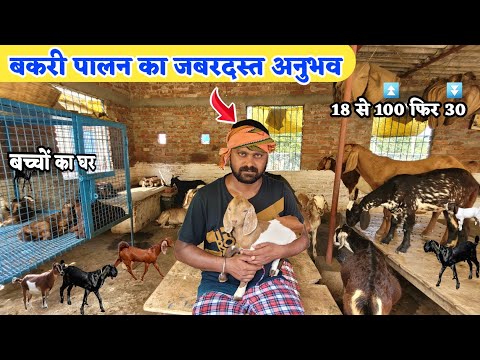 अनुभवी बकरी पालक से सीखिए बकरी पालन कैसे करें | Bakri palan ka tarika | Goat farming