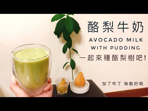 Avocado Milk | With pudding, you will love it if you drink it! Let's plant an avocado tree together!