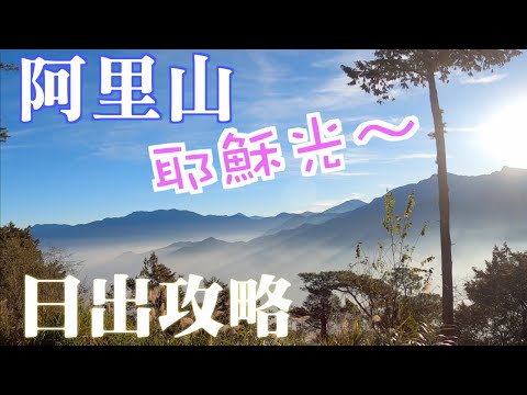 阿里山日出攻略｜小火車上山，祝山觀日步道下山｜沼平公園空中步道賞樹梢美景｜櫻之道｜林之道｜森之道是阿里山不可錯過的森林洗禮｜台灣最棒的森林公園｜一定要步行下山，享受森林浴｜Alishan travel