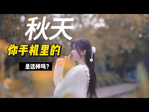 我想看看你手机里的秋天