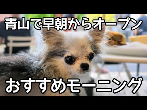 Recommended cafes where pets are allowed in Aoyama