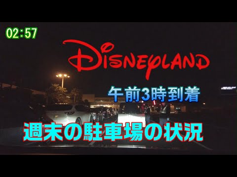 東京ディズニーランド深夜帯到着　駐車場待ちはどう？  2022年12月10日【tokyo disneyland】