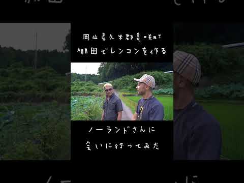 岡山県久米郡美咲町連石の棚田でレンコンを作るノーランドさんに会いに行ってきました