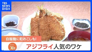 空前の“アジフライブーム”到来！？ 専門店に行列！さらに自販機まで登場【Nスタ】｜TBS NEWS DIG