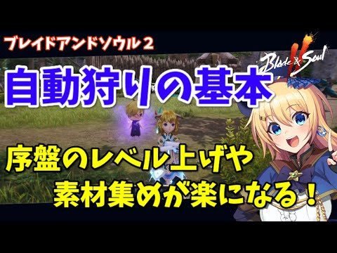 【ブレソ2】自動狩りの基本！序盤のレベル上げ＆素材集めでおさえておきたいこと