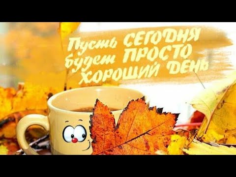 Проснись в объятиях Доброго утра ❤️Будь счастливым каждую минуту ❤️С Добрым Утром Вас любимые❤️