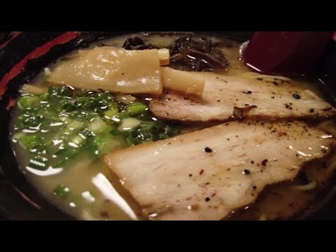 【鳥取県倉吉市】鳥と豚のハーモニー😋あっさりなのにコクが凄い‼️【つばさ】【山陰グルメ】【food in Japan 】