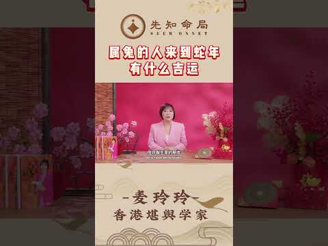 属兔的人来到蛇年有什么吉运