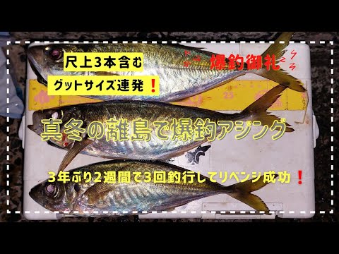 爆釣アジングゲーム　真冬の離島でグットサイズ連発❗