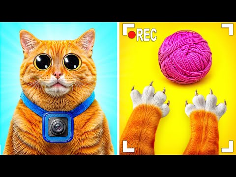 I Am Cat | Funny Cat Adventures by Multi DO Smile