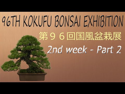 2nd Week. 96th KOKUFU BONSAI EXHIBITION 2022 /02/13~16  第96回国風盆栽展（後期）PART.２