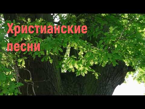 Христианские песни - Сборник христианских песен #христианскиепесни