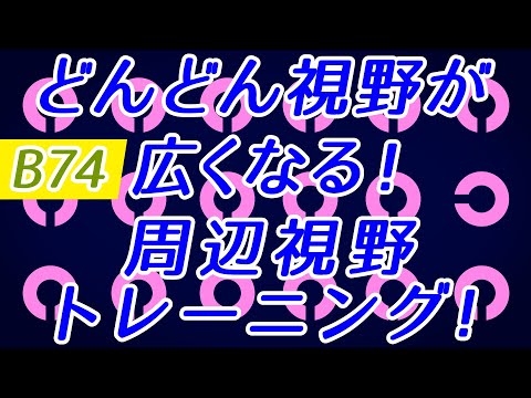 【Daily Eye Training】目指せアスリート！動体視力/周辺視野UP！vol.074