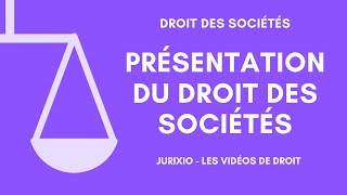 Le droit des sociétés (présentation, définition, conseils pour réussir...)