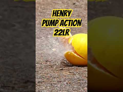 Henry Pump Action 22lr #ozziereviews #22longrifle #pumpaction #22lr #firearms #rifle #shooting #gun