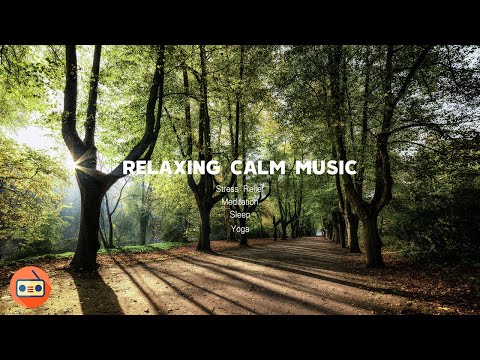 Relaxing Music for Stress Relief, Calm Your Mind , Sleep , Meditation, Yoga | 深度睡眠的音樂 放鬆焦慮和壓力 冥想 瑜珈