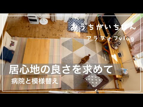 【ラグマット購入】また病院/嬉しいご報告も/買い出し前日ご飯/