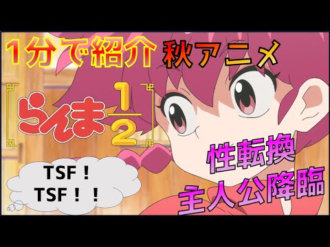 【2024年秋アニメ】クオリティ高いし古臭さあまりないぞ？30年以上前の作品とは思えない「らんま1/2」を紹介