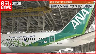 【ANA Green Jet】緑の特別塗装機  りんごジュース“搾りかす”をヘッドレストカバーに