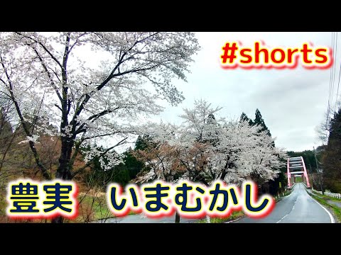 ⭐豊実　いまむかし（地図を比較してみた）　#shorts