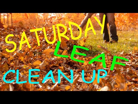 Saturday Leaf Clean Up