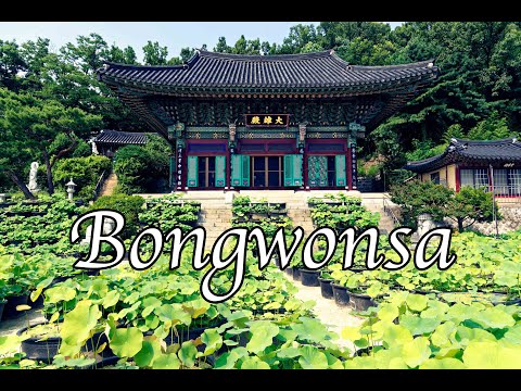 [ENG] [4K] The Temple of the 3000 Buddhas | Bongwonsa | What to visit in Korea ? # 26